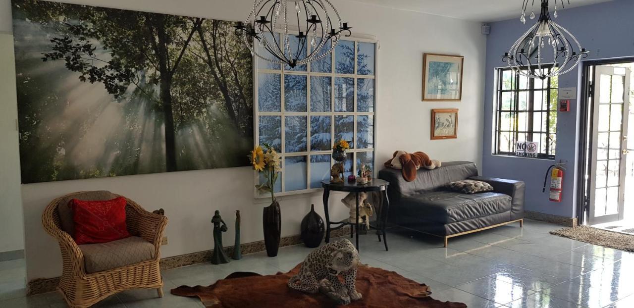Little Savoy Guest House New Runaway Bay Luaran gambar