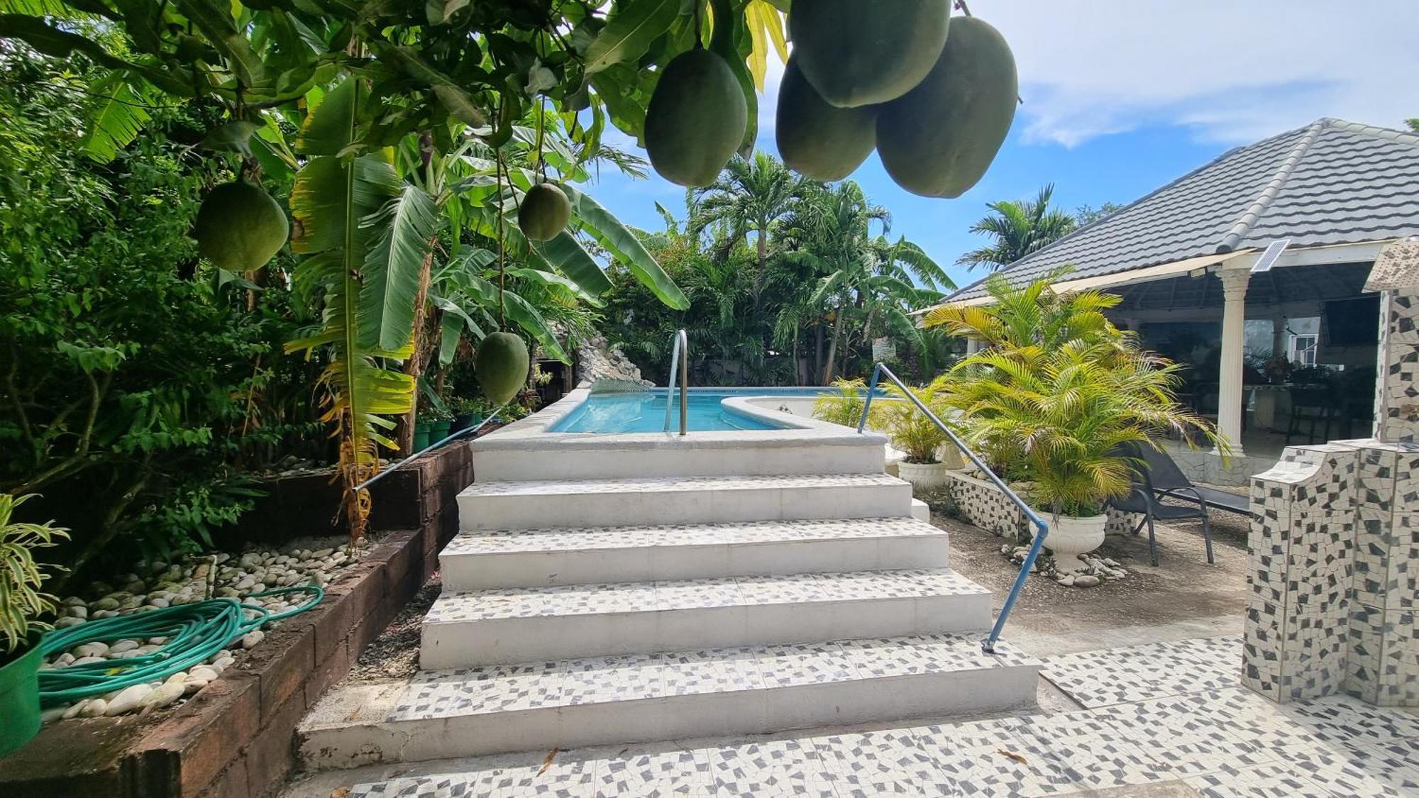 Little Savoy Guest House New Runaway Bay Luaran gambar